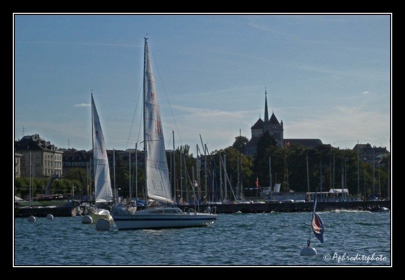 090 La cité et sa cathédrale vue du petit lac